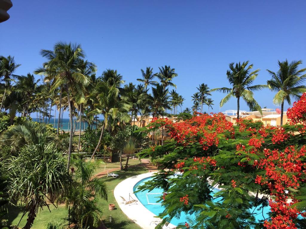 Don Cesar Apart otel Las Terrenas Dış mekan fotoğraf